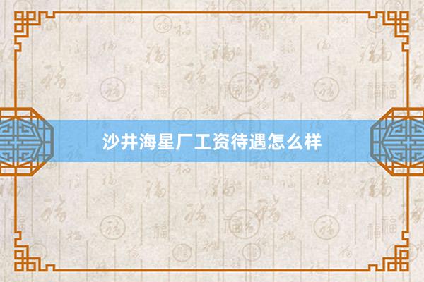 沙井海星厂工资待遇怎么样